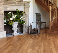 Wood & Laminate Flooring